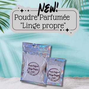 Peut inclure: Deux sachets de lessive en poudre blanche avec une finition holographique. Les sachets sont étiquetés "Poudre Parfumée" et "Linge Propre".