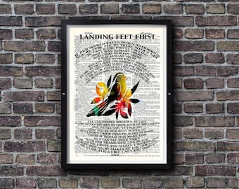 Bayside Landing Feet First Lyrics Colorful Bird Art Print