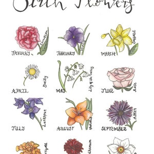 Birth Flowers print image 1