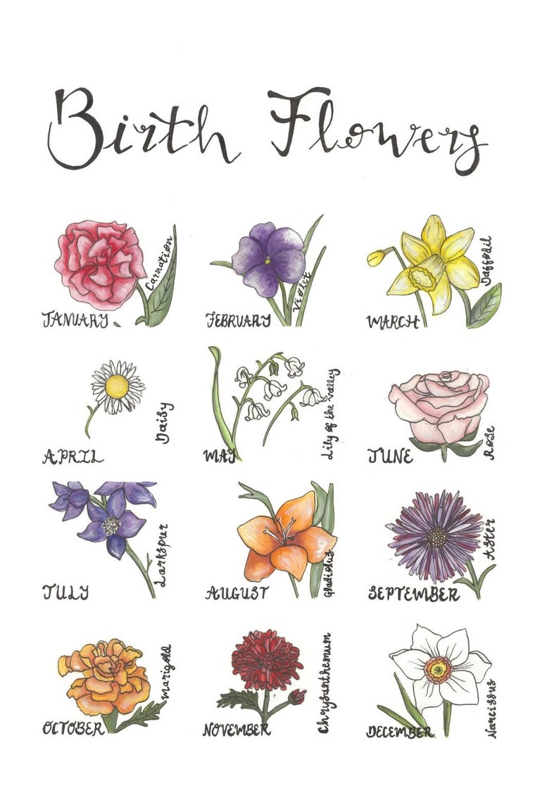 Birth Flowers print image 1