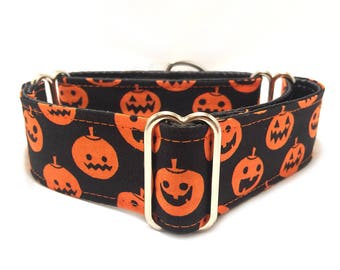 1.5 inch Martingale Collar, Halloween Orange Pumpkins Fabric Martingale Collar, Greyhound Martingale Collar, Dog Martingale Collar