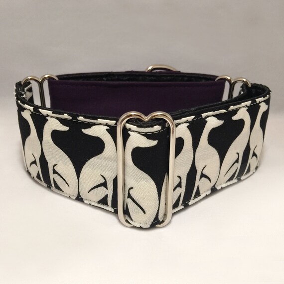 2 inch martingale collar greyhound sale