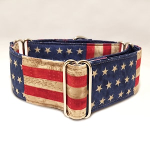 May include: A dog collar featuring a patriotic design with the American flag. The collar has a blue background with white stars, red and white stripes, and a tan section with a vintage map print. The hardware is silver.