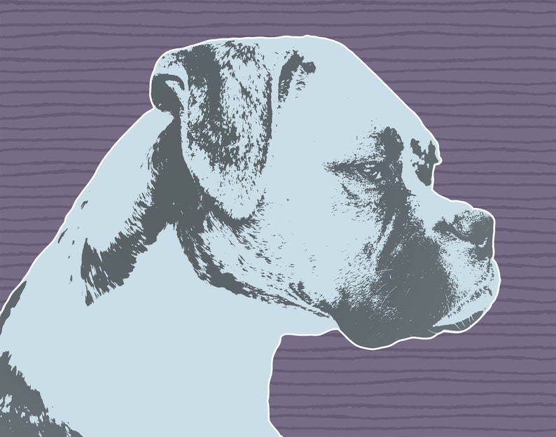 May include: A close-up of a light blue boxer dog's head, looking to the right, against a purple striped background.
