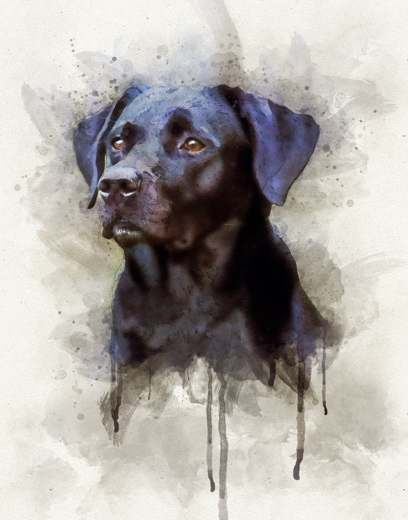 Black Lab Art Print, Labrador Retriever Dog Modern Watercolor Portrait Decor image 2