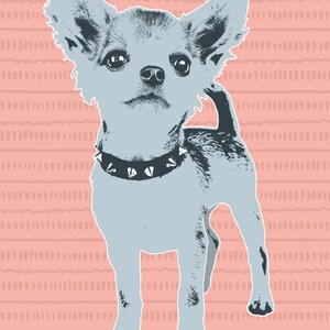 May include: A light blue chihuahua with a studded collar stands on a pink background with a white pattern.