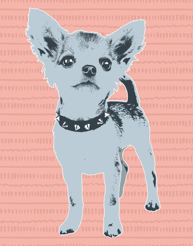 May include: A light blue chihuahua with a studded collar stands on a pink background with a white pattern.