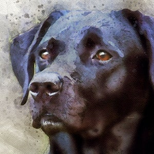 Black Lab Art Print, Labrador Retriever Dog Modern Watercolor Portrait Decor image 5