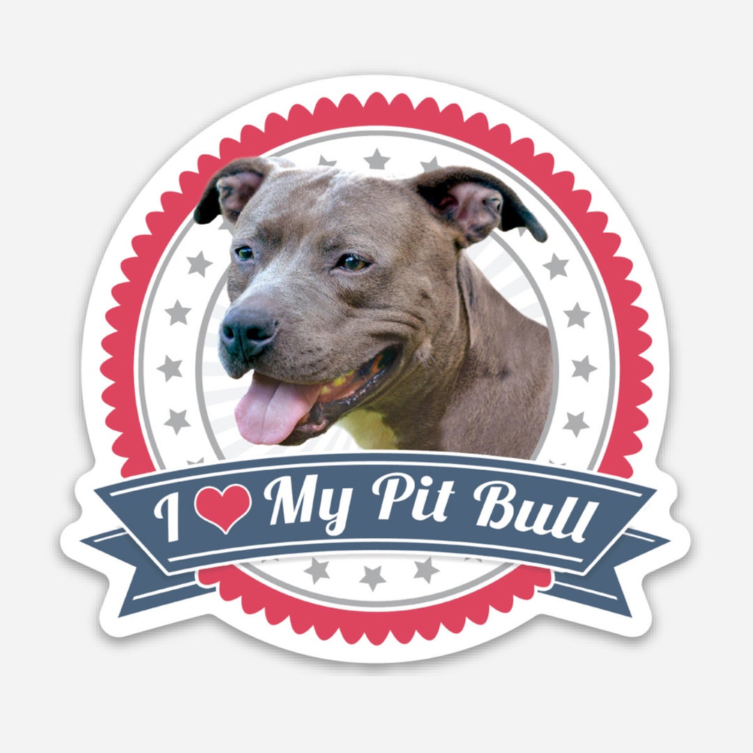 Pubblimania Cartello Attenti al Cane PITBULL in alluminio da 3 mm per