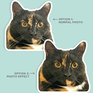 May include: Two images of a calico cat with black, orange, and white fur. The first image is a normal photo, and the second image is a photo with a digital art effect.