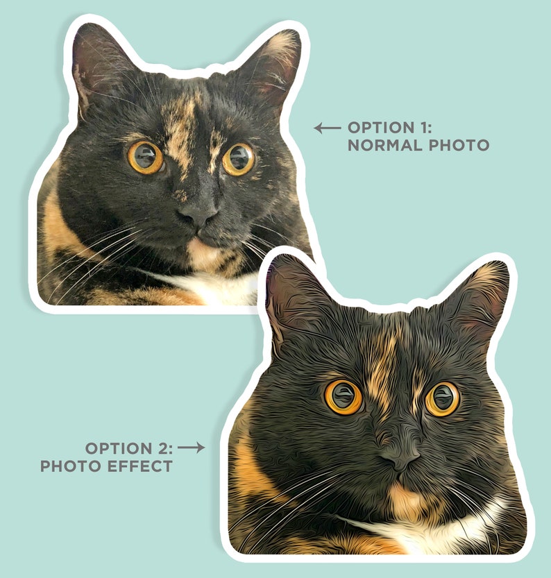 May include: Two images of a calico cat with black, orange, and white fur. The first image is a normal photo, and the second image is a photo with a digital art effect.