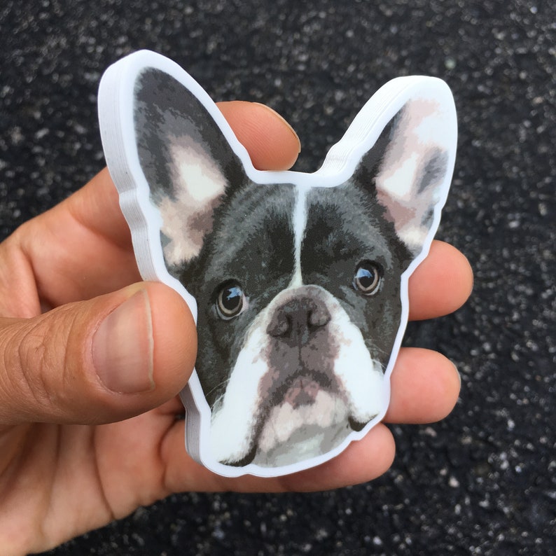 May include: A close-up of a black and white French bulldog sticker. The sticker is printed on white paper and has a glossy finish.