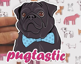Autocollant Carlin, Pug cadeau, amateur de Carlin, Pug autocollants, cadeau d’amant de Carlin, Pug ordinateur portable autocollant, Pug vinyle autocollant, cadeau d’amant de chien, amateur de Carlin, chien Stickers