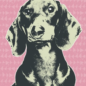 May include: A black and white illustration of a dachshund dog with a pink background. The dog is looking directly at the viewer.