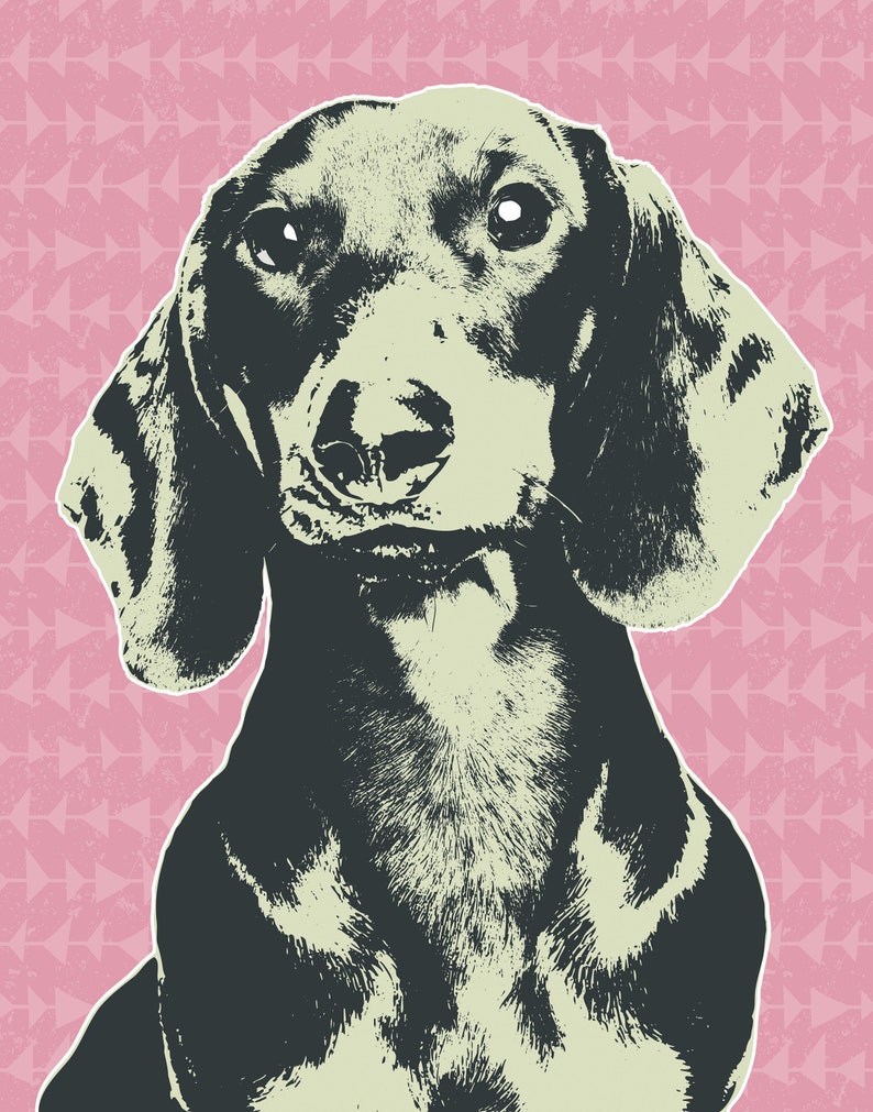 May include: A black and white illustration of a dachshund dog with a pink background. The dog is looking directly at the viewer.