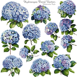 May include: Watercolor illustration of hydrangea floral vectors in shades of blue, purple, and green. The image features multiple clusters of hydrangea blooms with green leaves and stems. Text at the top reads "Hydrangea Floral Vectors Watercolor Style."