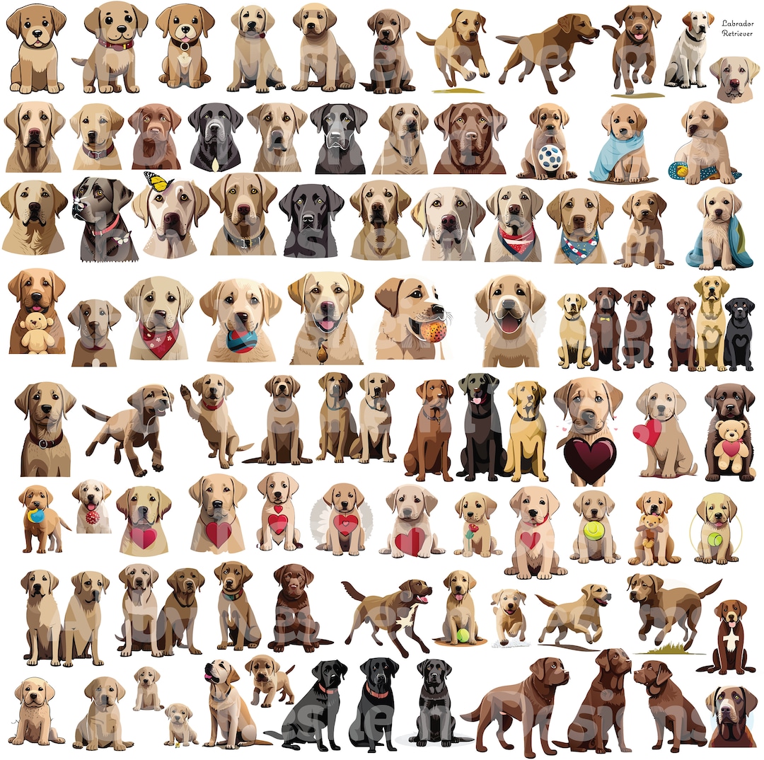Lab Dog Bitmap Labrador Retriever - Lab Dog Vectors - Svg, Png, Jpg - Etsy