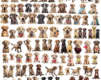 Può includere: Una collezione di illustrazioni di cani Labrador Retriever in varie pose e colori, tra cui nero, marrone e giallo. Alcuni cani tengono oggetti come un cuore, una palla e un orsacchiotto.