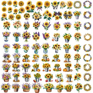 May include: A digital collage of 48 watercolour illustrations featuring sunflowers in various arrangements. The sunflowers are depicted in different stages of bloom, with some featuring a full bloom, while others are in bud form. The sunflowers are arranged in bouquets, wreaths, and individual blooms. Some of the sunflowers are placed in jars, buckets, and baskets. The sunflowers are surrounded by lavender sprigs and other floral elements.