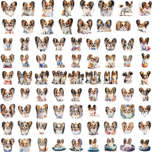 Vectores de acuarela de perro Papillon SVG, JPG, PNG