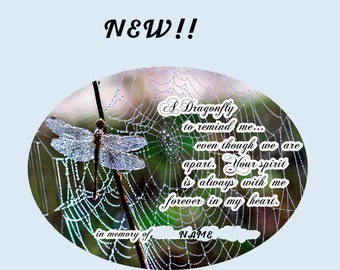 Suncatchers -  Large Glass Dragonfly and Web - Four Different Photos  to Choose From