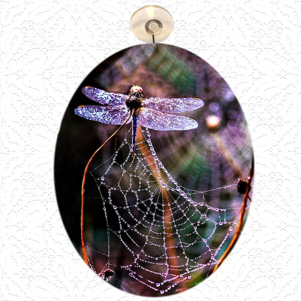 Suncatchers: Large 9"x 6.5" Dragonfly - Butterfly - Family - Biltmore