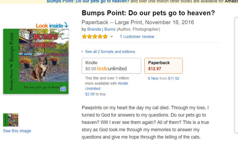 Book Children's Book BUMP'S POINT Do Pets Go to Heaven image 6