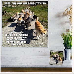 Ceramic Photo/Quote Tiles - Desktop Decoration Tiles - Tabletop Decor Tiles - Wall Hanging Tiles - 10 Different "CATS" Tiles