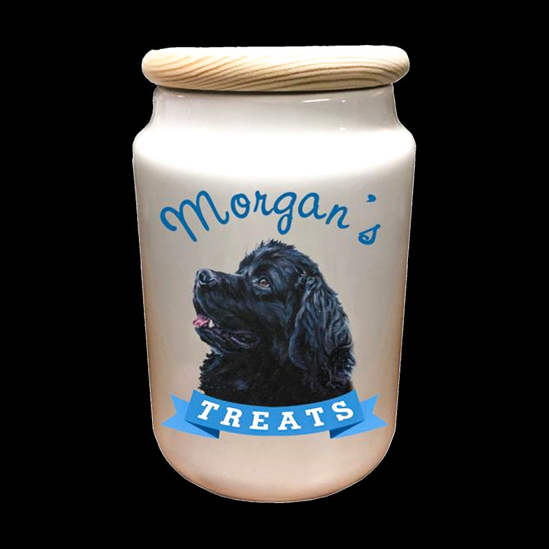 Ceramic Jar-Container Personalized for 'Candy' Dog Treats 'M&M's image 7