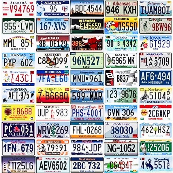 Vanity License Plates for Cars, Motorcycles, ATV'S, and Bicycles, etc.. Custom Designed - 6"x12" large, 4" x 7" - medium, 3"x6" small