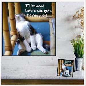 Ceramic Photo/Quote Tiles - Desktop Decoration Tiles - Tabletop Decor Tiles - Wall Hanging Tiles - 10 Different "CAT" Tiles