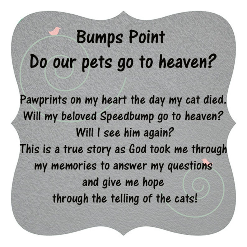 Book Children's Book BUMP'S POINT Do Pets Go to Heaven image 5