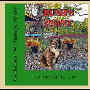 Book Children's Book BUMP'S POINT Do Pets Go to Heaven image 2