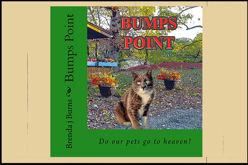 Book Children's Book BUMP'S POINT Do Pets Go to Heaven image 2