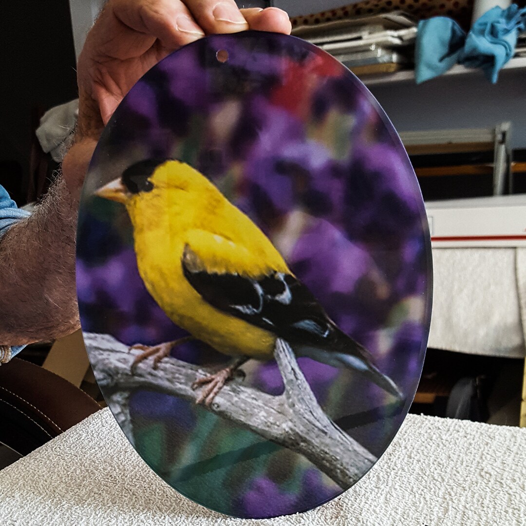 Suncatchers Large Glass Suncatchers Cardinal Goldfinch Etsy