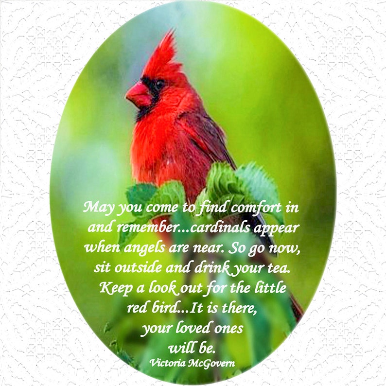 Suncatchers Large Glass Suncatchers Cardinal Goldfinch Etsy