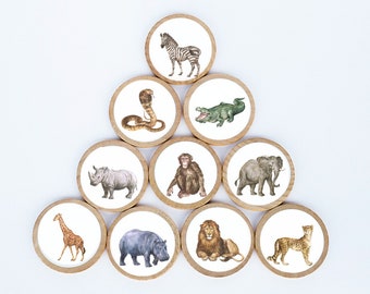 Safari Animal Magnet Set / Set of 10 / 2 3/8 x 1/4 Inches / Refrigerator Magnets / Montessori  / Vintage Magnet / Baby Shower Gift