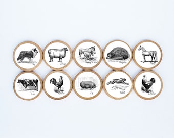 Farm Animal Magnet Set / Set of 10 / 2 3/8 x 1/4 Inches / Refrigerator Magnets / Montessori  / Vintage Magnet / Baby Shower Gift / Animals