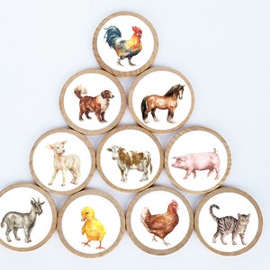 Farm Animal Magnet Set / Set of 10 / 2 3/8 x 1/4 Inches / Refrigerator Magnets / Montessori  /  Teacher Gift / Children / Animal Magnets