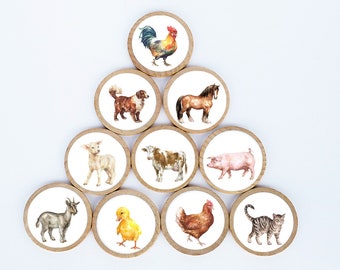 Farm Animal Magnet Set / Set of 10 / 2 3/8 x 1/4 Inches / Refrigerator Magnets / Montessori  /  Teacher Gift / Children / Animal Magnets