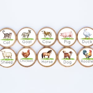 Farm Animal Magnet Set / Set of 10 / 2 3/8 x 1/4 Inches / Refrigerator Magnets / Montessori  /  Teacher Gift / Children / Animal Magnets