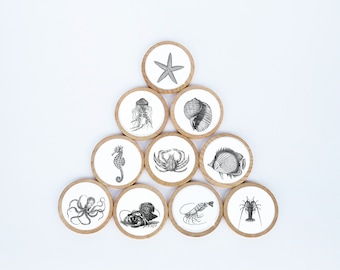 Imanes de madera con forma de criatura marina, regalo Montessori para bebé (juego de 10)
