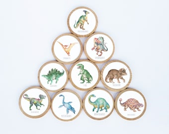 Dinosaur Magnet Set / Set of 10 / 2 3/8 x 1/4 Inches / Refrigerator Magnets / Montessori  / Vintage Magnet / Dinosaur Magnets/ Free Shipping