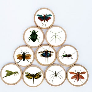 Insect Magnet Set / Set of 10 / 2 3/8 x 1/4 Inches / Set 2 / Refrigerator Magnets / Montessori  /  Teacher Gift / Children / Bug Magnets