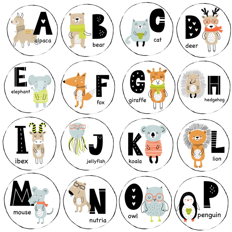 Cute Animal Alphabet Magnets/ Refrigerator Magnets/ Educational Magnets/ Gifts For Children/ Teacher Gifts/ Animal Magnet/ School Magnets image 3