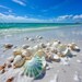 Sea Shells on the Sea Shore Destin Florida Coastal Theme Wall Art Set ...