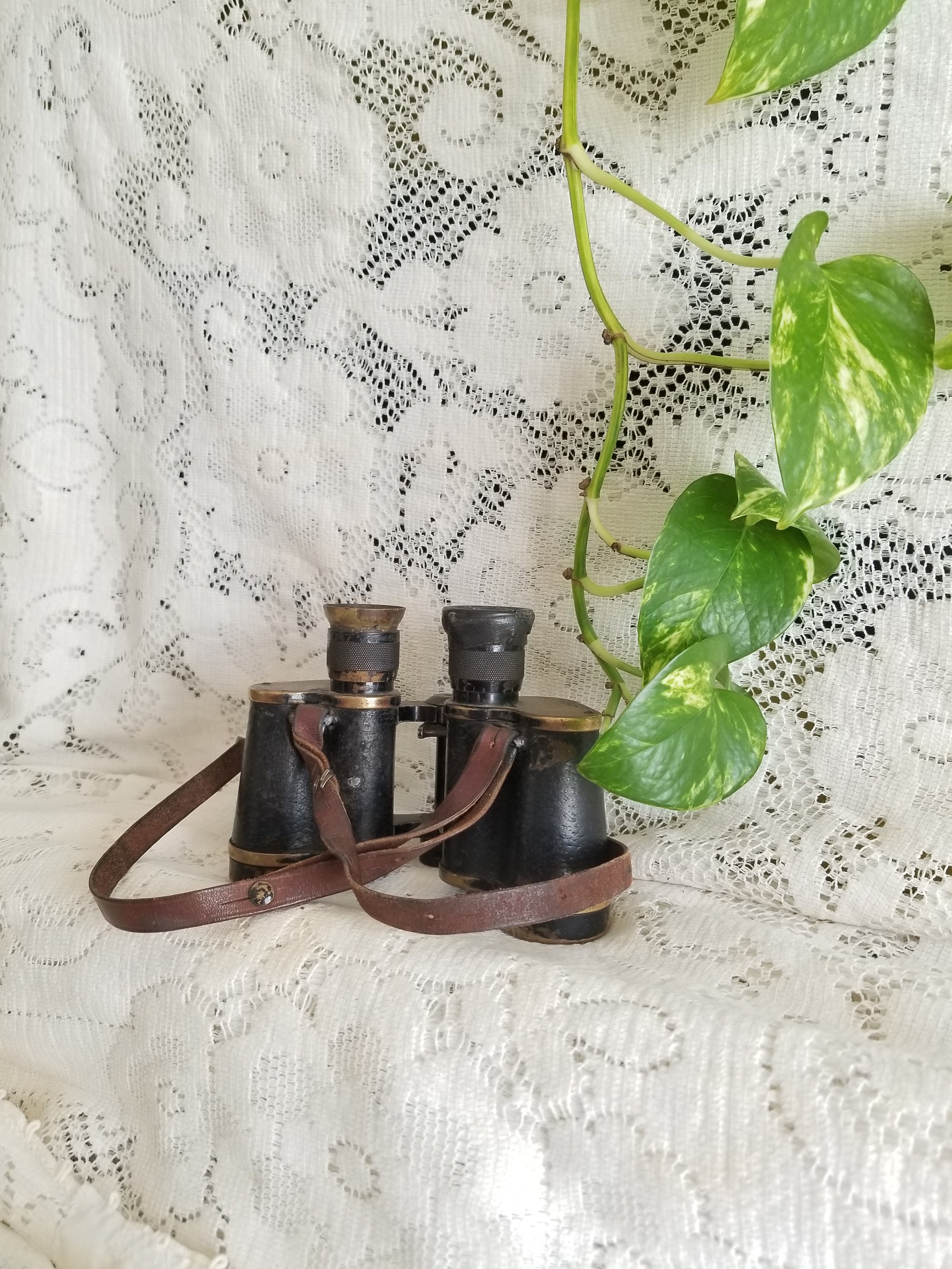 Zeiss Binoculars for sale compared to CraigsList Only 2 left at 60