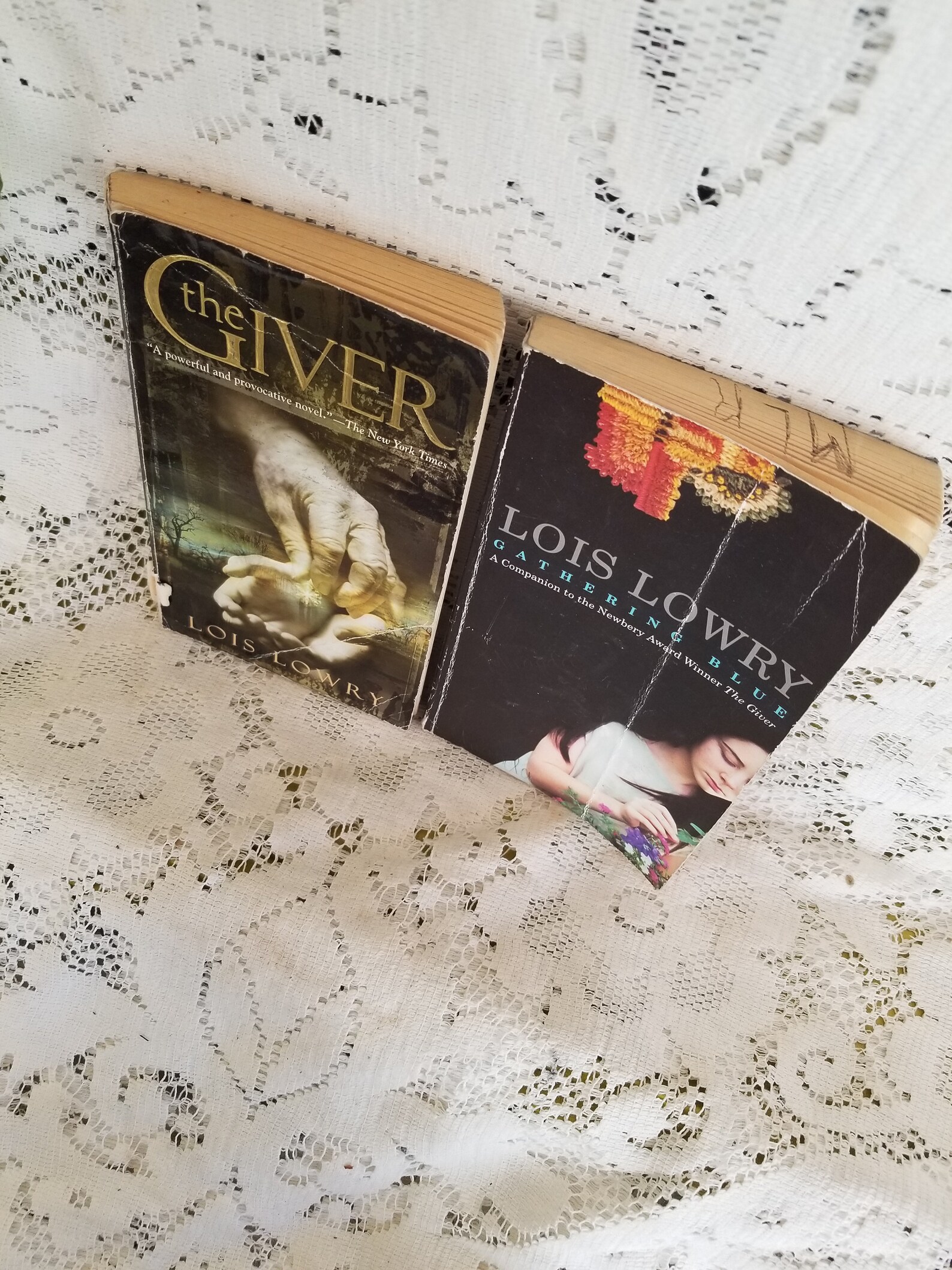 the giver and gathering blue the giver and gathering blue