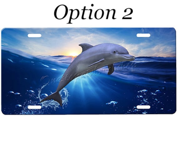 Dolphin License Plate With Custom Background Options - Etsy