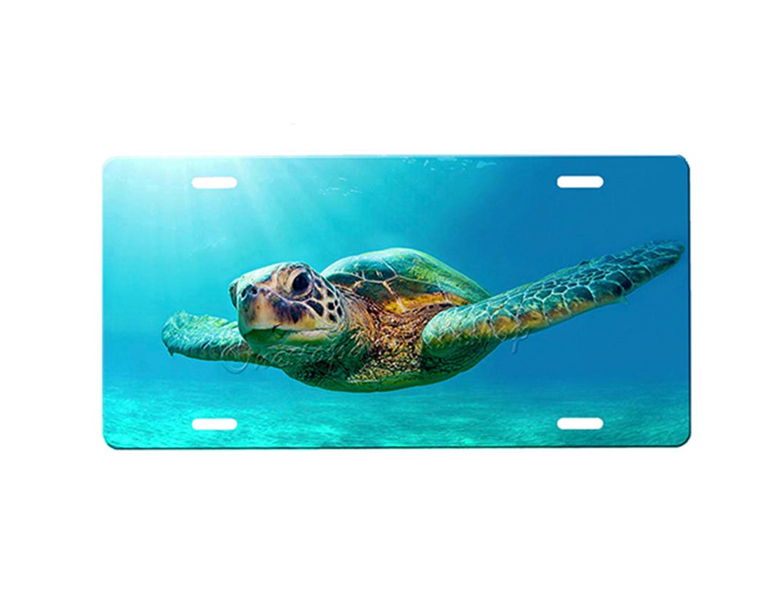 Sea Turtle License Plate With Custom Background Options - Etsy